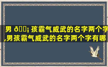 男 🐡 孩霸气威武的名字两个字,男孩霸气威武的名字两个字有哪些